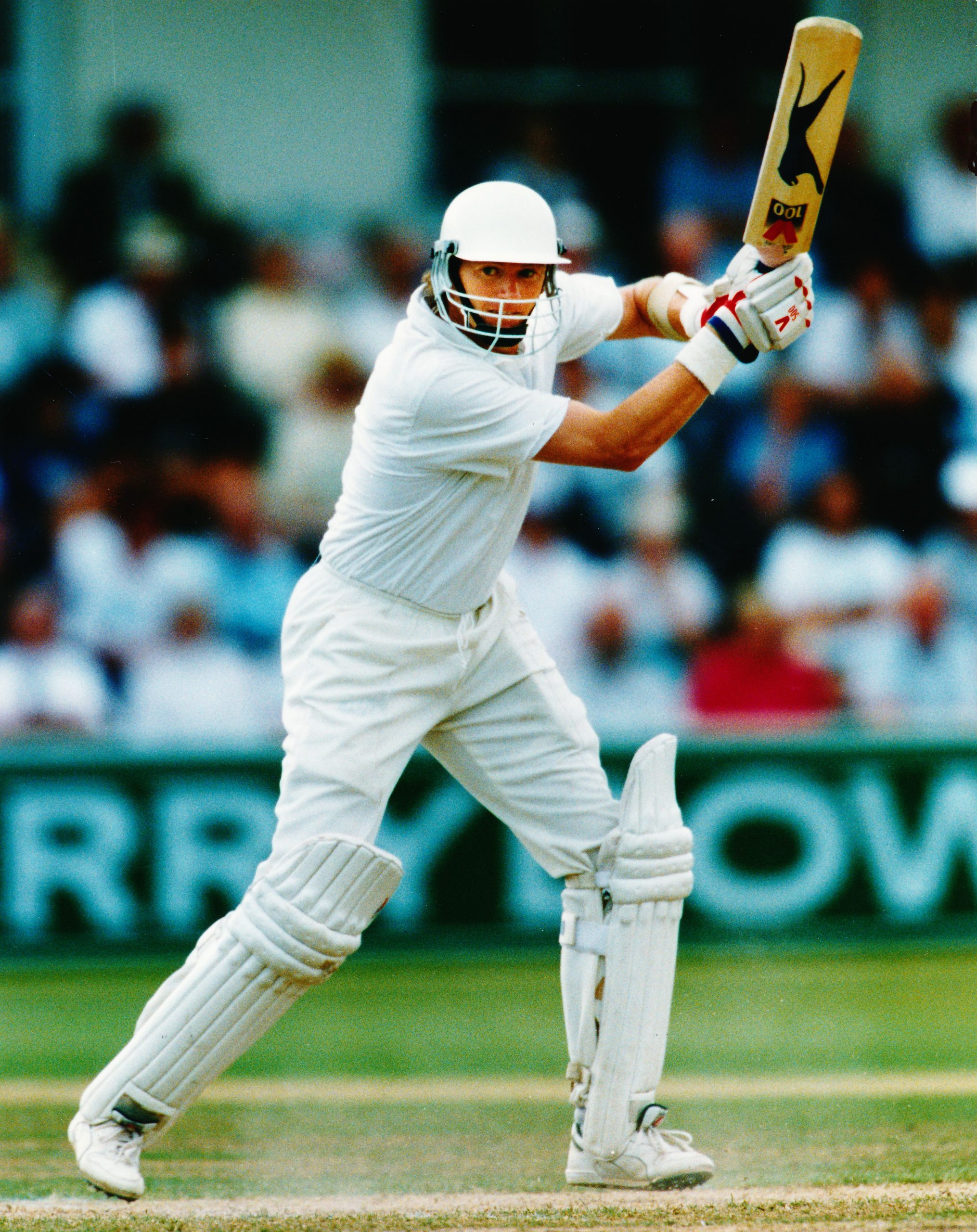 Alan Wells Sussex Cricket Museum